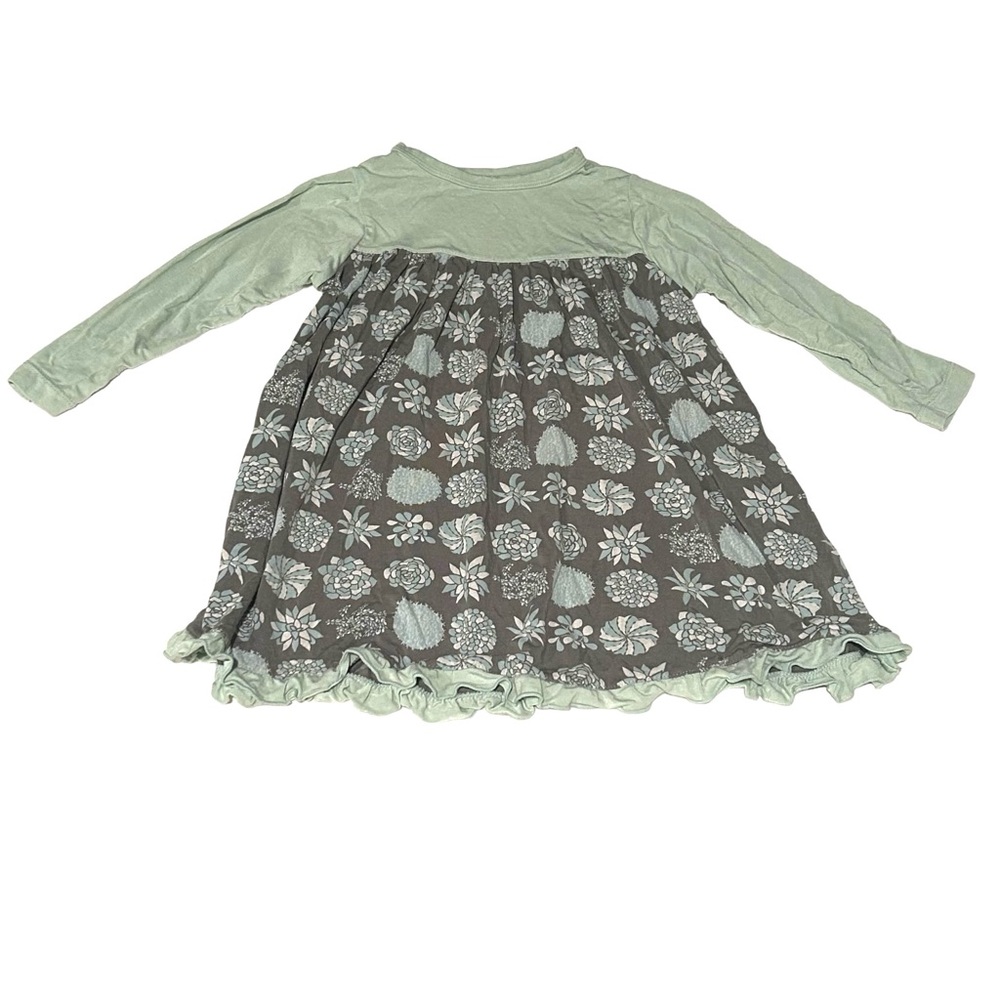 Kickee Pants | Girl’s Long Sleeve Swing Dress | Succulents | 18-24M